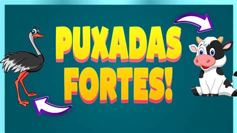 Puxadas dos Bichos .